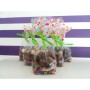 Sachet de friture chocolat artisanal
