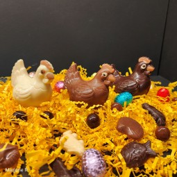 Mini sujet en chocolat artisanal de 50g